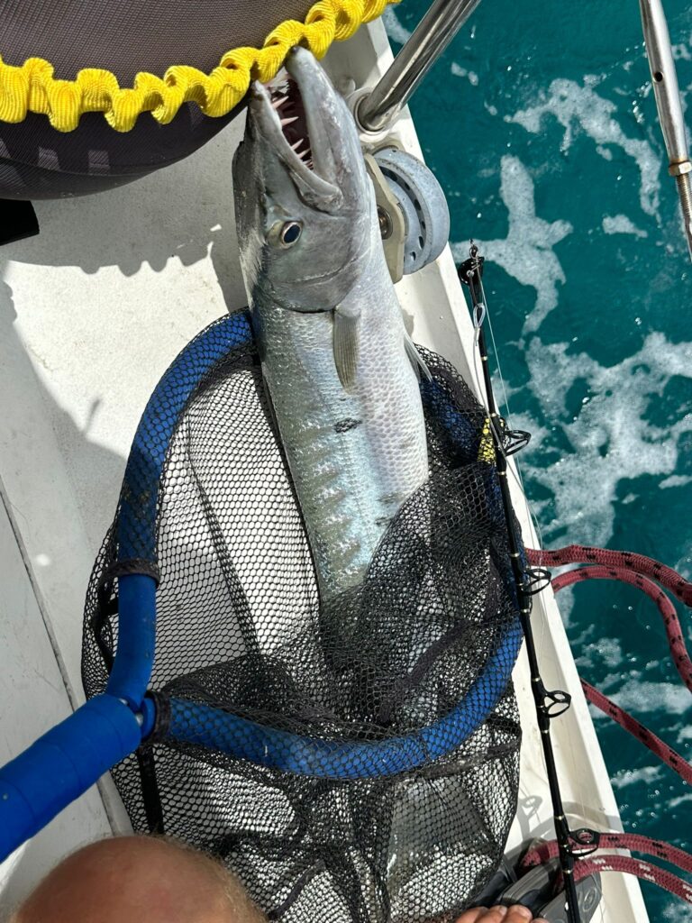 A close up of the symbol for a boat